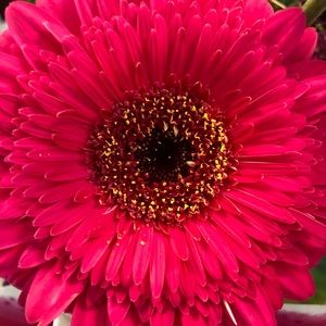 OFFERS WELCOME AND APPRECIATED!